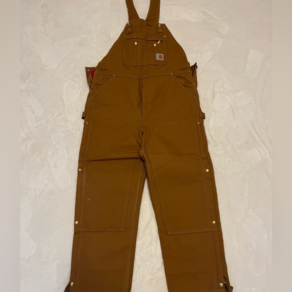 Insulated Carhartt Bib Overalls, never worn. With stickers. - Picture 1 of 4